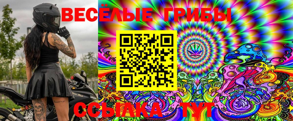 Галлюциногенные грибы GOLDEN TEACHER Нерюнгри