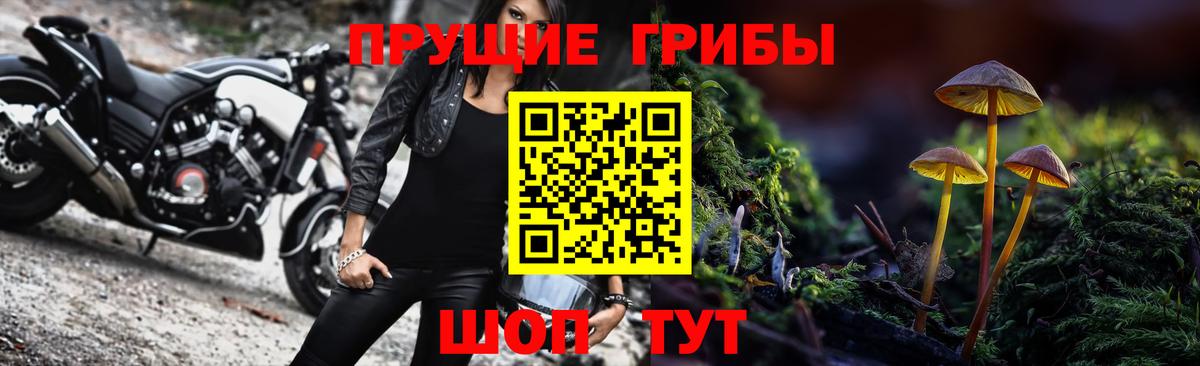 Нерюнгри  Галлюциногенные грибы мухоморы  где найти   Вход с VPN 